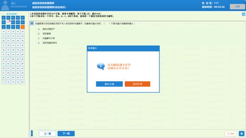 2023年下半年系统集成项目管理工程师机考模拟系统操作指南——北京信息系统集成服务