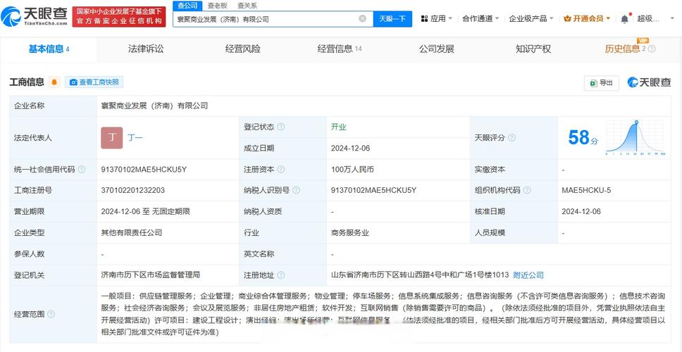 为丁一,注册资本100万人民币,经营范围含供应链管理服务